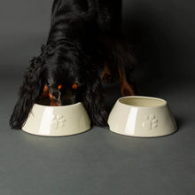 Scruffs Long Eared Dog Bowl
