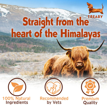 Himalayan Yak Chews