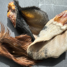 Hairy Cows Ears Dog Treat