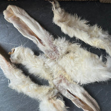 Rabbit Ears with Fur Dog Treat