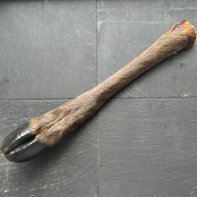 Hairy Deer Legs Dog Treat