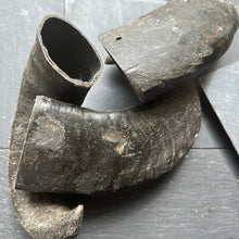 Buffalo Horns Natural Dog Treat