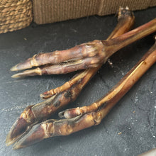 Roe Deer Legs Dog Treat