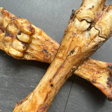 Beef Leg Bone Dog Chew