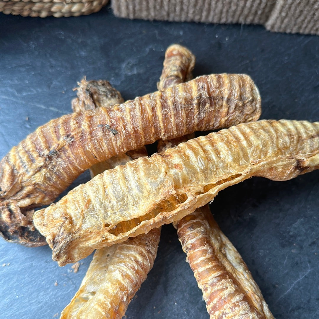 Trachea Dog Treat