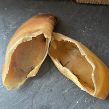 Unfilled Hooves Dog Treat