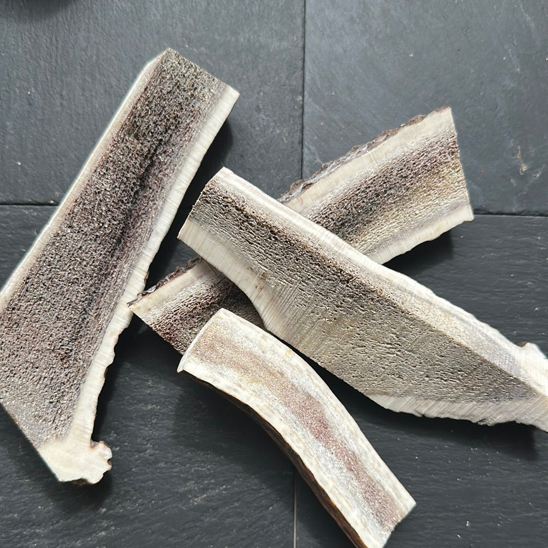 Deer Antler Split Dog Chew