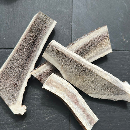 Deer Antler Split Dog Chew